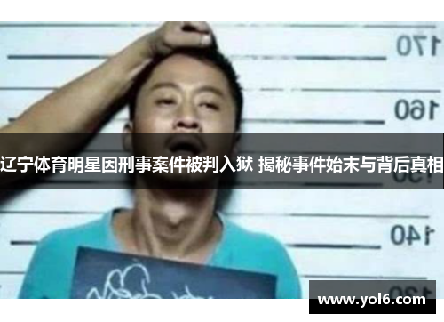 辽宁体育明星因刑事案件被判入狱 揭秘事件始末与背后真相
