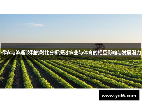 棉农与波斯波利的对比分析探讨农业与体育的相互影响与发展潜力