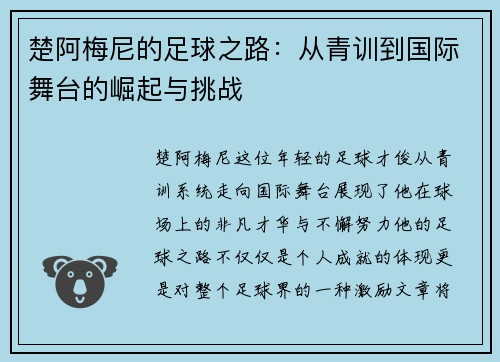 楚阿梅尼的足球之路：从青训到国际舞台的崛起与挑战