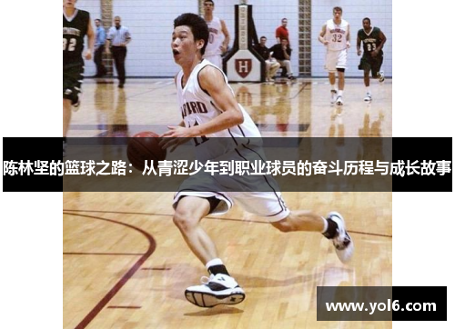 陈林坚的篮球之路：从青涩少年到职业球员的奋斗历程与成长故事